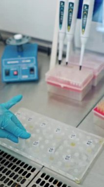 Mavi steril eldivenli eller test tüplerini sıvıyla dolduruyor. Modern laboratuarlarda, içinde sıvı bulunan raflar. Dikey video
