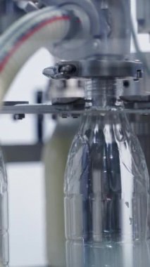 Robot fabrikasında otomatik süt şişeleme teknolojisi. Plastik şişeler bir mandıra fabrikasında modern makineler tarafından sütle dolduruluyor. Yakın plan. Dikey video