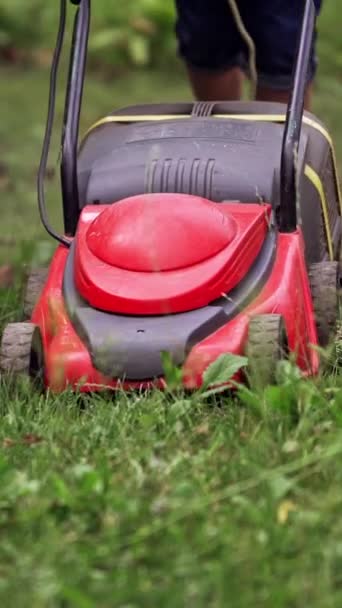 Homeowner Working Garden Uses Lawn Mower Mow Green Grass Gardener — Stock Video