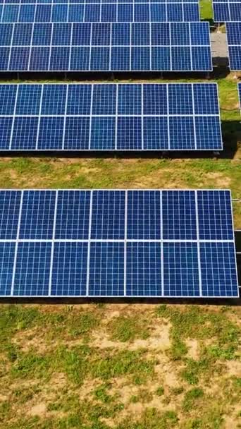 Solar Panels Aerial View Solar Energy Panels Power Plant Alternative — Stock video
