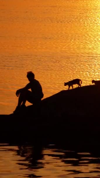 Homem Com Gatos Fundo Caminho Dourado Pôr Sol Sobre Água — Vídeo de Stock