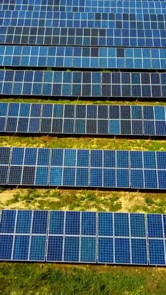 Paneles Energía Solar Campo Vista Del Equipo Una Central Energía — Vídeo de stock