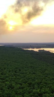 Gün batımında yeşil ormanın panoramik manzarası. Yeşil ağaçlar ve nehirlerin doğal yaz manzarası. Hava görüntüsü. Ağır çekim. Dikey video