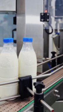 Süt şişeleri taşıma bandında. El, konveyör bandından boş bir şişe alıyor. Süt ürünleri fabrikasında içecek üretim hattını hazırlayın. Yakın plan. Dikey video