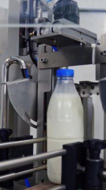 İçerideki robot fabrikasında mandıra endüstrisi. Sütlü şişeler konveyör hattında hareket ediyor. Günümüz süt ürünleri üretme teknolojisi. Dikey video