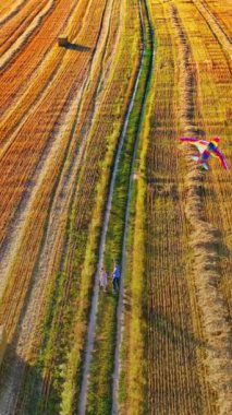 Doğasında uçan bir uçurtma olan sevgi dolu bir çift. Erkek ve kadın el ele tutuşup kahverengi alanda yürüyorlar. Açık havada uçurtmalı aşıklar. Dikey video