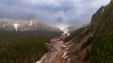 Mount Rainer Ulusal Parkı, Washington Eyaleti, ABD.