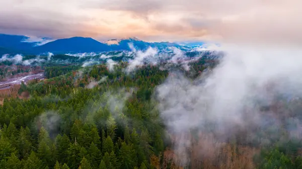 Taman Nasional Amerika Gunung Rainer Pemandangan Udara Pemotretan Drone Pemandangan Stok Gambar