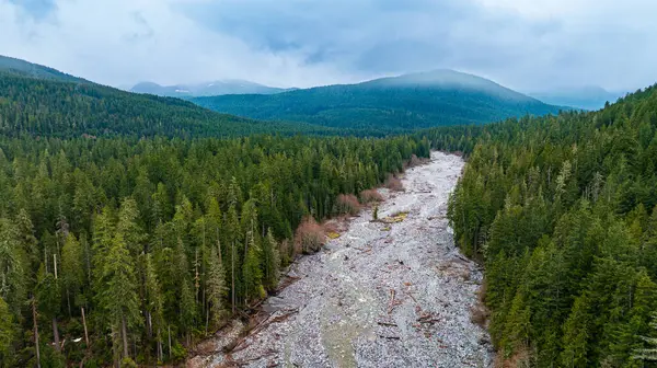 Taman Nasional Mount Rainer Negara Bagian Washington Amerika Serikat Stok Foto Bebas Royalti