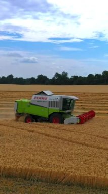 Combine harvester in action on the field. Combine harvester. Harvesting machine for harvesting a wheat field. Vertical video