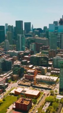 Güzel şehrin inanılmaz güneşli manzarası. Chicago City, Illinois 'in gökdelenleri mavi gökyüzünün arka planında. Dikey video