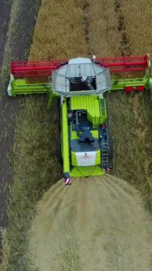 Bir tarlada çalışan hasat makinesini birleştirin. Çiftlik alanındaki hasat makinesinin hava görüntüsü Dikey video