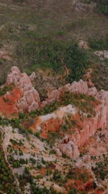Bryce Ulusal Parkı 'nda yeşil çam ağaçlarıyla kaplı muhteşem kayalar. Utah, ABD 'deki kanyonların hava manzarası. Dikey video