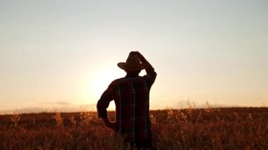 Beline kadar buğdayın üzerinde duran bir adamın dikiz görüntüsü. Çiftçi şapkasını takar ve gün batımına bakarak kalçalarına el ele tutuşur..