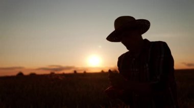 Gün batımında çiftlikte duran yaşlı bir çiftçinin siyah silueti. Buğday taneleri döken adam.