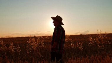 Çiftlik arazisinde şapka giyen kendinden emin bir çiftçi. İnsan gün batımında olgun buğdaya bakar..