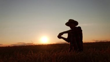 Gün batımında buğday tarlasında şapkalı bir erkek silueti. İnsan kopardığı tahılları eline döker. Düşük açı görünümü.