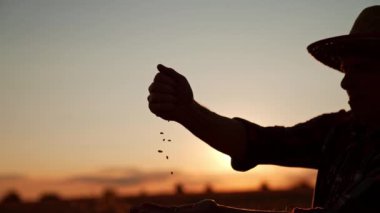 Şapkalı bir erkek silueti tahılları elden ele döküyor. Güneş arka planda batıyor.