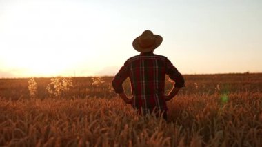 Tarlada duran şapkalı ve kareli gömlekli bir adam. Çiftçi tarlaya bakar, el ele tutuşur..