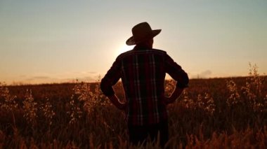 Buğday tarlasının sahibi buğday mahsulüne bakar. Şapkalı adam el ele tutuşup kalçalarına bakıyor. Güneş arka planda batıyor.
