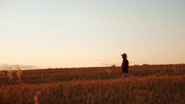 Şapkalı bir çiftlik sahibi gün batımında buğday tarlasının yanından geçer. Çiftçi hasat mevsiminden önce tarlayı kontrol eder..