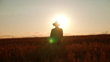 Şapkalı adam gün batımında buğday tarlasında duruyor. Çiftçi mısır başaklarını alır ve tahıl almak için ovalar..