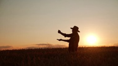 Şapkalı yaşlı sıska adam buğday tarlasında duruyor. Çiftçi gün batımında eline tahıl döker. Düşük açı görünümü.