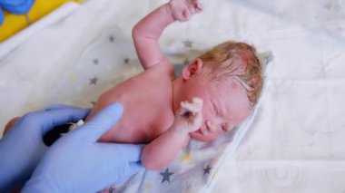 Kafkasyalı yeni doğan doktor kontrolünden rahatsız olduğu için mutsuz. Mavi lateks eldivenli eller bebeğin karnına bastırıyor. Kapat..