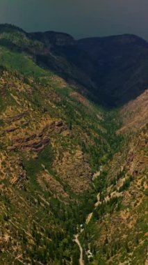 Güçlü dağ kütlesinin üzerindeki dramatik gri gökyüzü. Colorado dağlarında çimenler ve çam ağaçları var. Dikey video