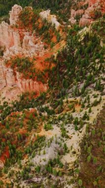 Utah 'taki Amerikan Ulusal Parkı' nın kayalıklarında yetişen yeşil çam ağaçları. Kanyonların üzerinden insansız hava aracı uçuşu. Dikey video