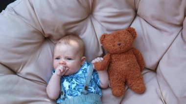 Mavi tişörtlü tatlı çocuk yumruğunu çiğniyor. Oyuncak ayı tutan sevimli bir oğlan. Kapat..