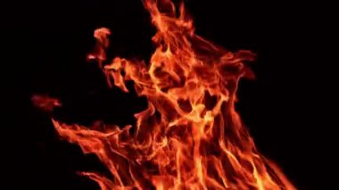 Kamp ateşinin sıcak turuncu alevleri havaya yükseliyor. Siyah arka planda yanan ateşin büyüleyici görüntüsü.
