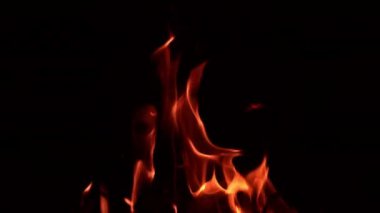 Karanlıkta dans eden şenlik ateşinin güzel alevleri. İnce alev dilleri yükseliyor. Kapat..