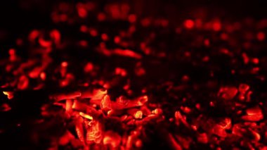 Kamp ateşinden çıkan sıcak kırmızı közler. Kömürden hafif duman yükseliyor. Kapat..