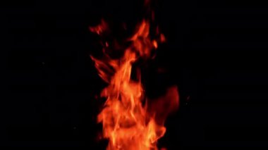 Havada yükselen sıcak kamp ateşi alevleri. Çoklu kor parçacıkları siyah arka planda havada uçar.