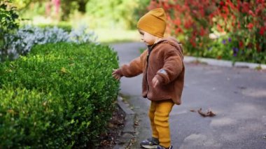 Güzel bir yıl ve kalın kıyafetler giyen yarım çocuk dışarıda duruyor. Çocuk parkta büyüyen yeşil çalılara dokunuyor..