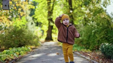Sevimli çocuk sonbaharda yürüyüşe çıkıyor. Şirin çocuk şapkasını çıkarıp alnını tırmalıyor. Doğanın bulanık arkaplanı.