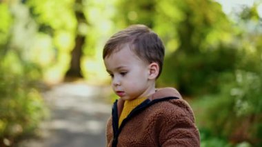 Dışarıda oynayan tatlı, beyaz bir çocuk. Bebek kestane fırlatır ve almak için koşar. Arkaplanda bulanık doğa.