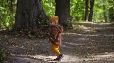 Yaşlı ağaçların arasında yürüyen sevimli çocuk. Sonbaharda parkta vakit geçirmek..