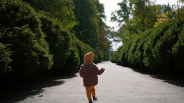 Parkın arka sokağında koşan çocuğun görüntüsü. Güneşli bir sonbahar gününde açık havada zaman geçirmek..