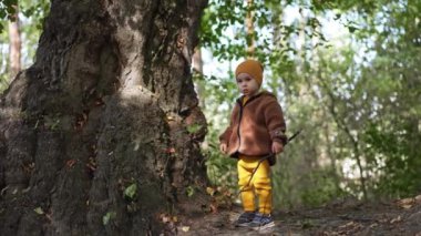 Tatlı çocuk elinde sopayla büyük yaşlı ağacın yanında duruyor. Sonbaharda doğayı keşfeden tatlı bir çocuk..