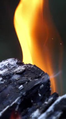 Alevli diller yaklaş. Barbekü için bir sürü ağacın hazır olduğu sıcak bir şömine.