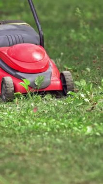 Çim biçme makinesi yeşil çimleri kesiyor. Çim biçme makinesiyle çimleri biçen adama yaklaş.