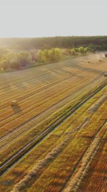 Çiftçi traktörle saman balyalarını taşıyor. Kırsal alanda saman balyaları olan traktör ve karavan.