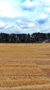 Tarlaya istiflenmiş saman balyaları. Çarpık samanlıklarla uyumlu bir manzara.