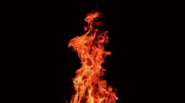Küçük kıvılcımlar hızla yükselirken kocaman yanan bir ateş. Siyah arka planda büyük şenlik ateşinin alevleri yükseliyor.