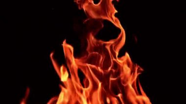 Kamp ateşinin güzel dilleri. Kapatın. Siyah arka planda izole edilmiş yangın.