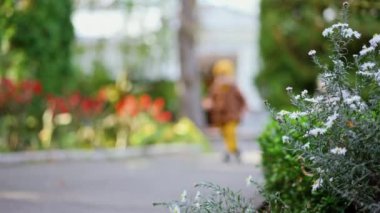 Küçük çocuk kameraya doğru koşuyor. Güzel beyaz çocuk sonbaharda açık havada eğleniyor. Düşük açı görünümü.