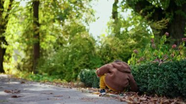 Tatlı çocuk parkta bir kestane koparır. Gülümseyen çocuk kameraya koşar ve mutlu bir şekilde kestane fırlatır..