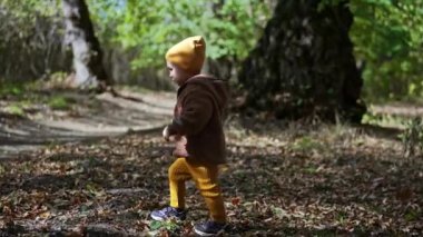 Beyaz, şirin bir bebek parkta kuru yaprakların arasında yürüyor. Sonbaharda yürüyüşe çıkan çocuk, güzel havalarda..